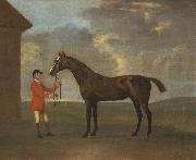 Francis Sartorius The Racehorse 'Horizon' Held by a Groom by a Building oil painting picture wholesale